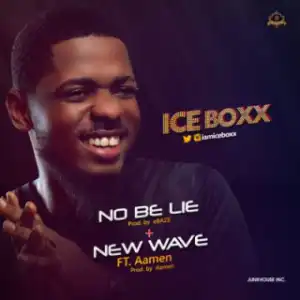 Iceboxx - No Be Lie